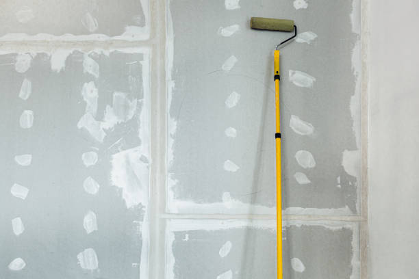 Best Dehumidification Services  in Nanakuli, HI