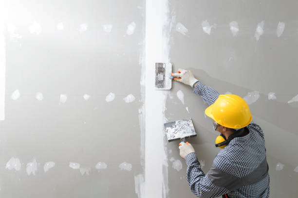 Best Forensic Mold Investigation  in Nanakuli, HI
