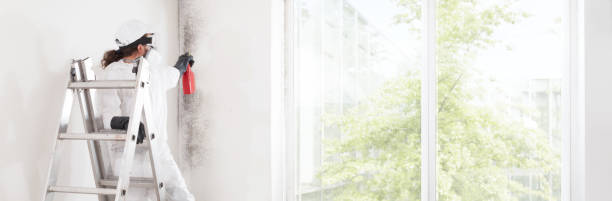 Best HVAC Mold Inspection and Cleaning  in Nanakuli, HI