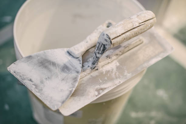 Best Real Estate Mold Inspection  in Nanakuli, HI