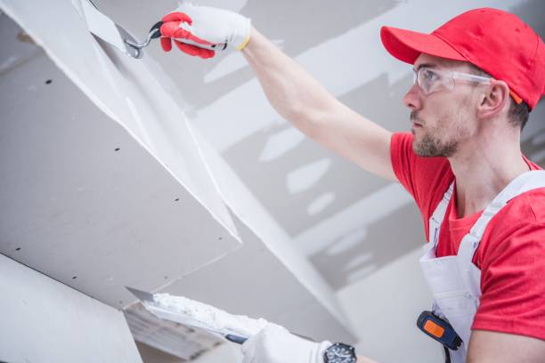 Best Biohazard Mold Removal  in Nanakuli, HI
