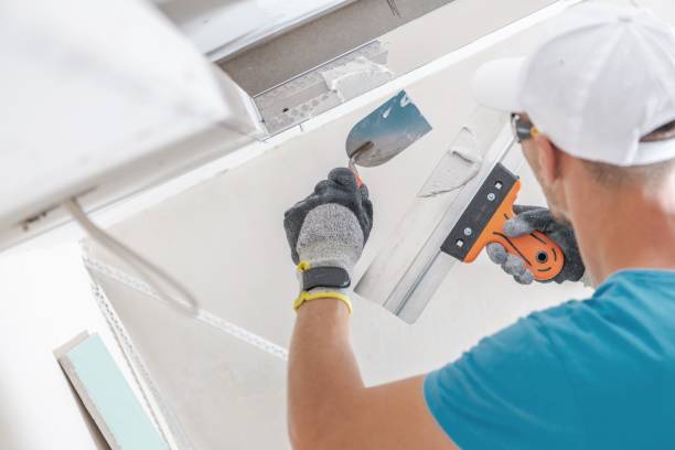 Best Industrial Mold Remediation  in Nanakuli, HI